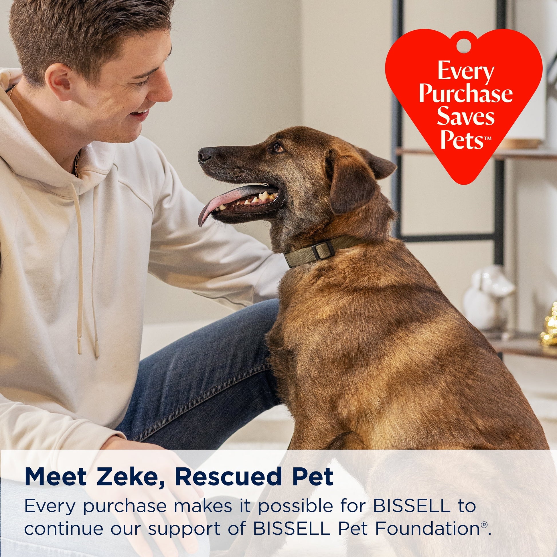 Little Green Portable Carpet Cleaning System, Model 3369