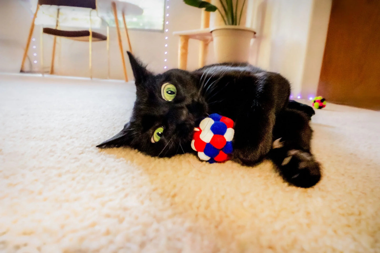 (6 Pack)  Pom Pom Cat Toy, Assorted Colors