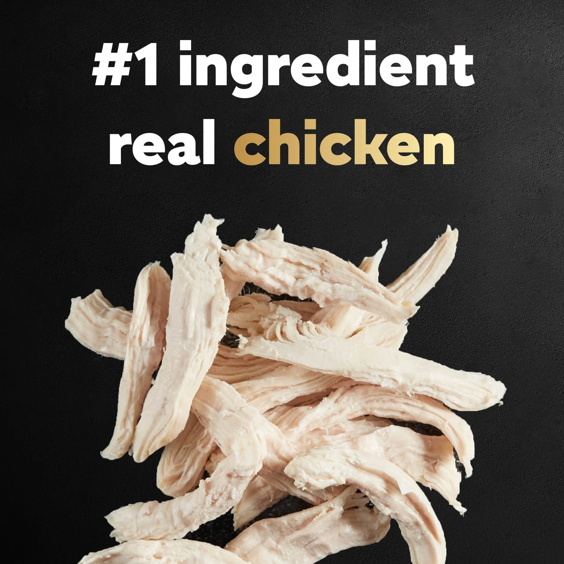 Small Breed Adult Dry Dog Food with Rotisserie Chicken and Spring Vegetables, 5 lb Bag