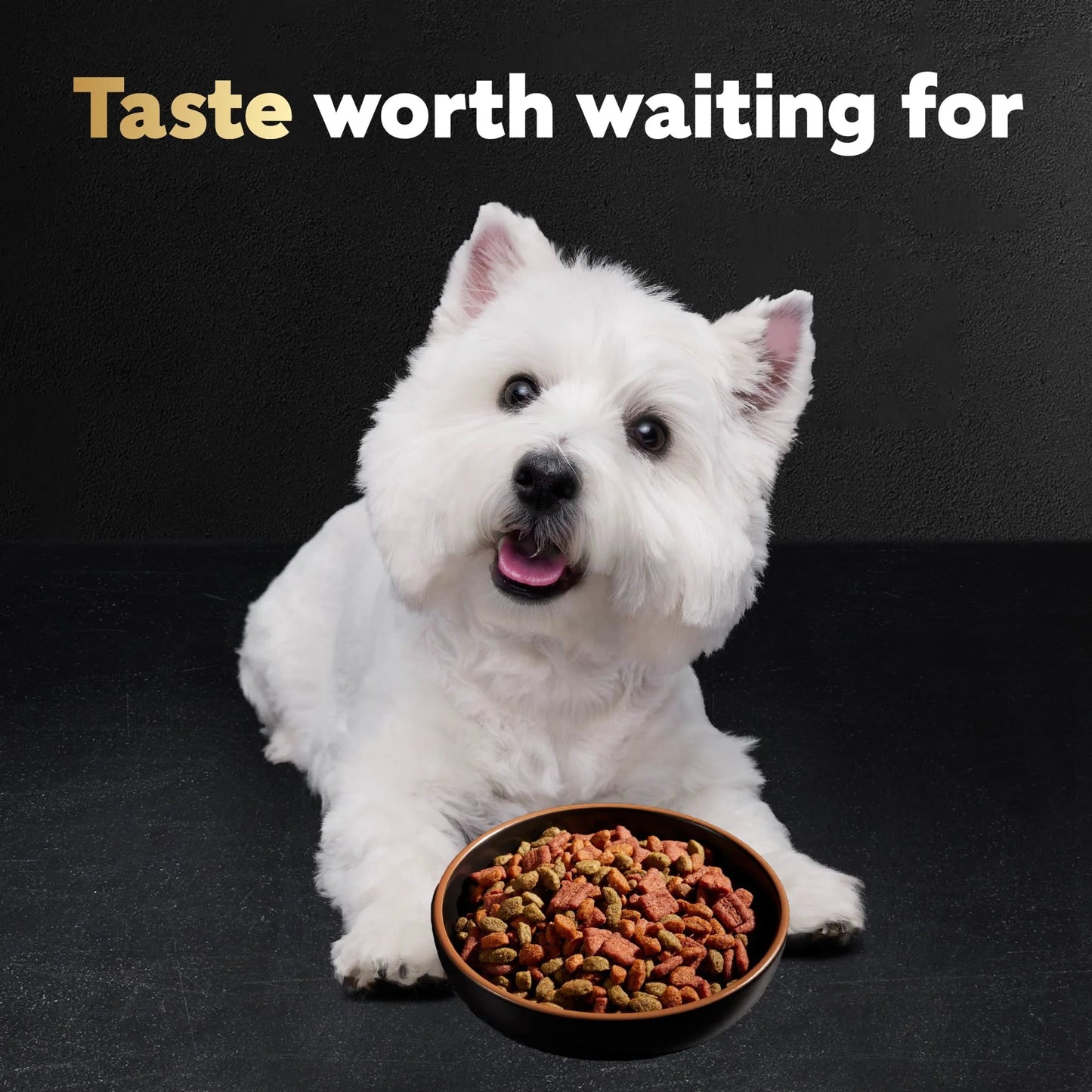 Filet Mignon with Spring Vegetables Dry Dog Food, 5 lb Bag