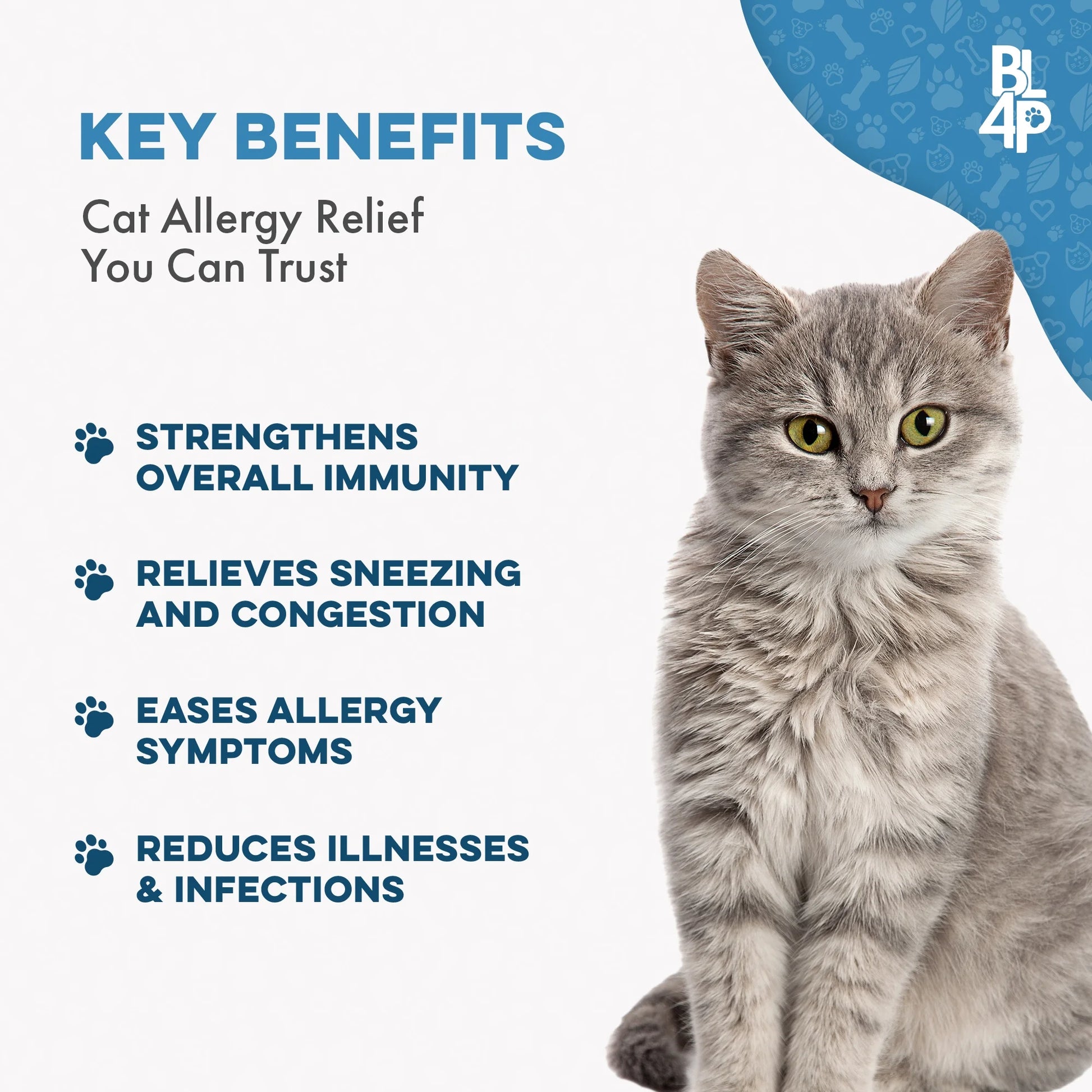 Cat Allergy Relief & Immune Support - Natural Relief for Seasonal Allergies, Itching & Respiratory Infections
