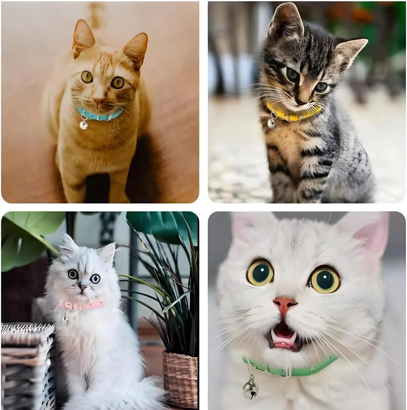 Adjustable PU Leather Cat and Dog Collar with Bell for Extra Small to Medium Pets