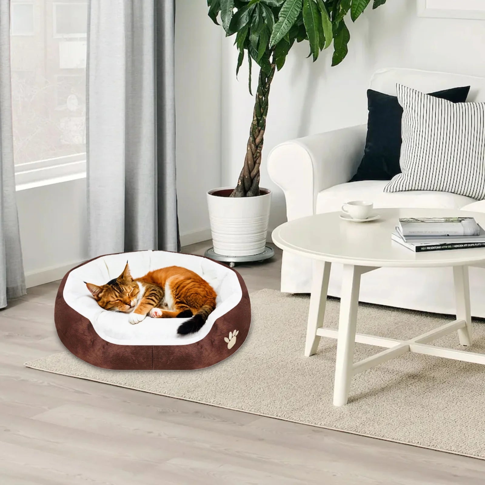 Dog Beds for Small Dogs Puppy Bed Pet Cats Bed with Removable Cushion for Indoor Cats Dogs, Brown