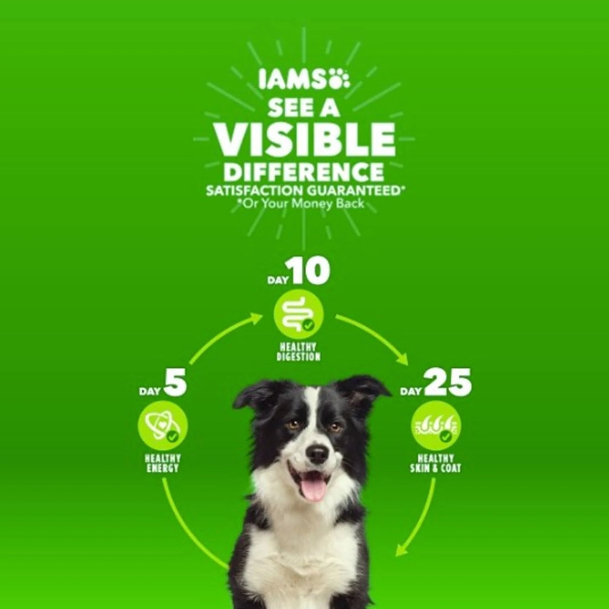 Proactive Health Chicken and Whole Grain Recipe Dry Dog Food for Puppies, 7 lb Bag