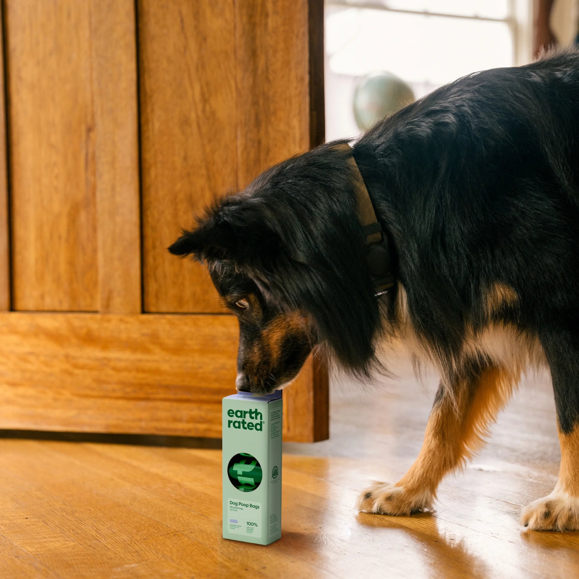 Lavender Scented Leak-Proof Dog Waste Bags, 100 Count in 5 Refill Rolls