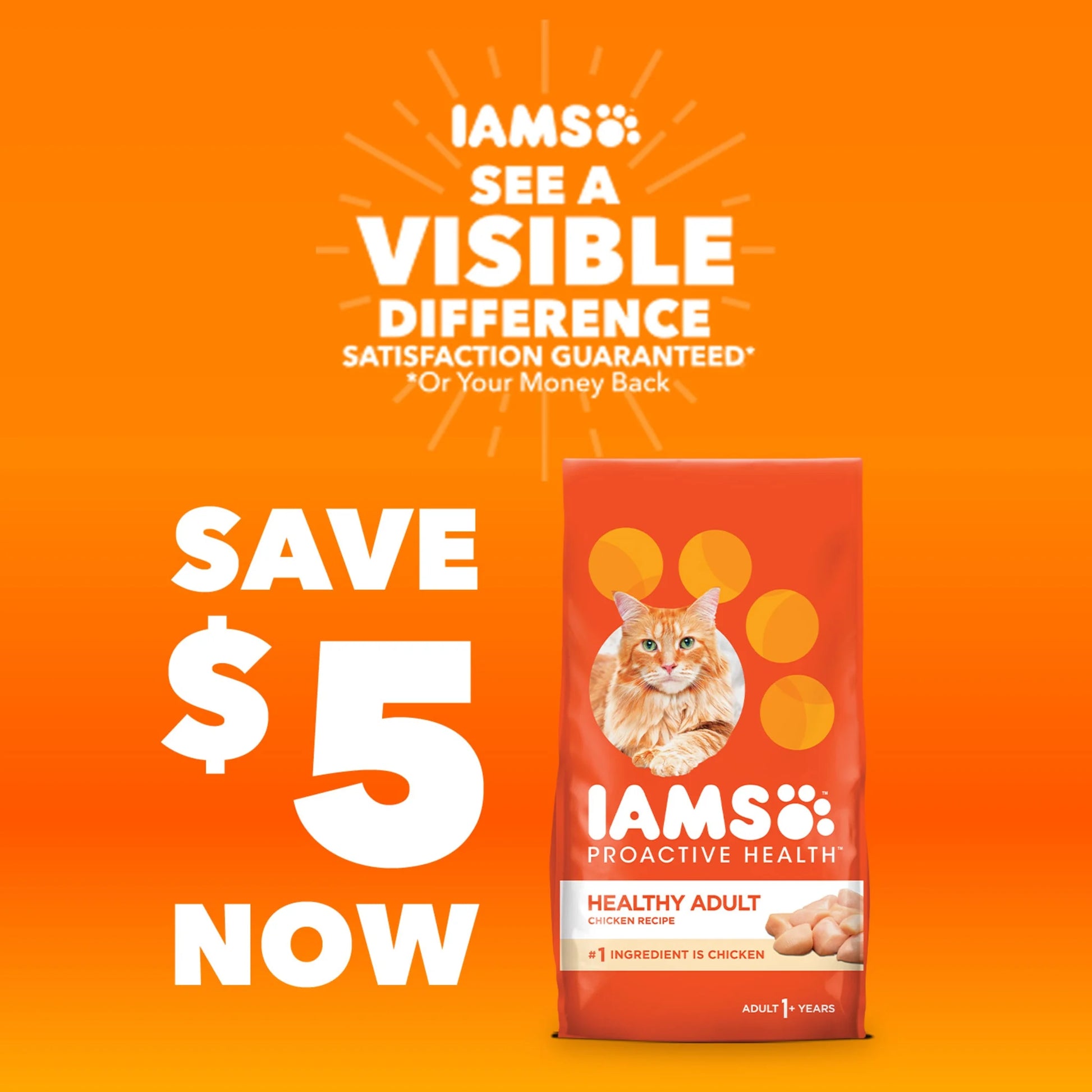 Proactive Health Chicken Dry Cat Food, 7 lb. Bag