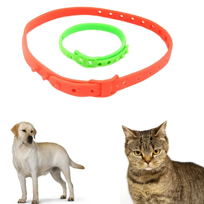 Pet Collar for Lice Removal in Cats and Dogs