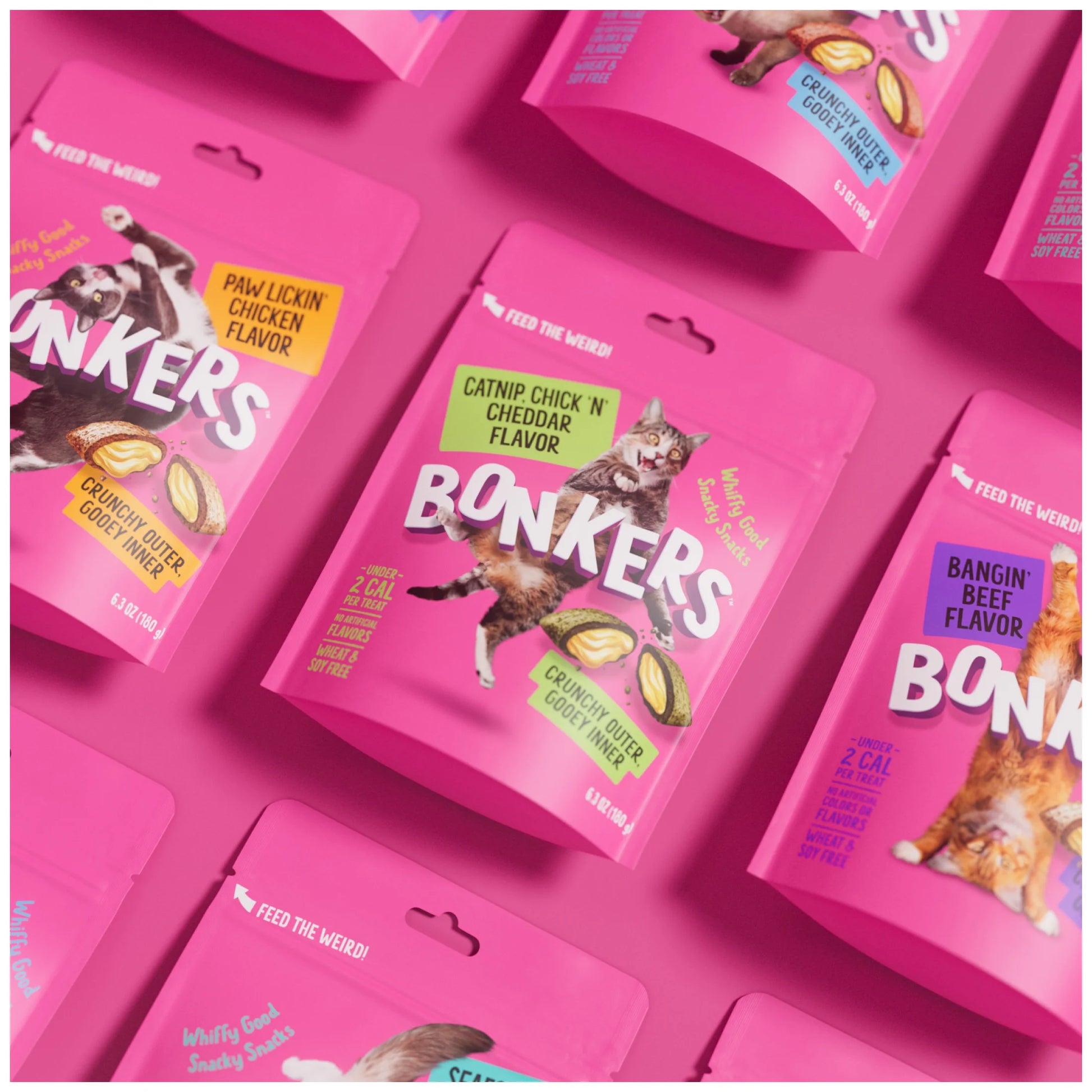 Cat Bites - Catnip & Chick 'N' Cheddar Flavor, Crunchy and Soft Cat Treats, 3 Oz Bag