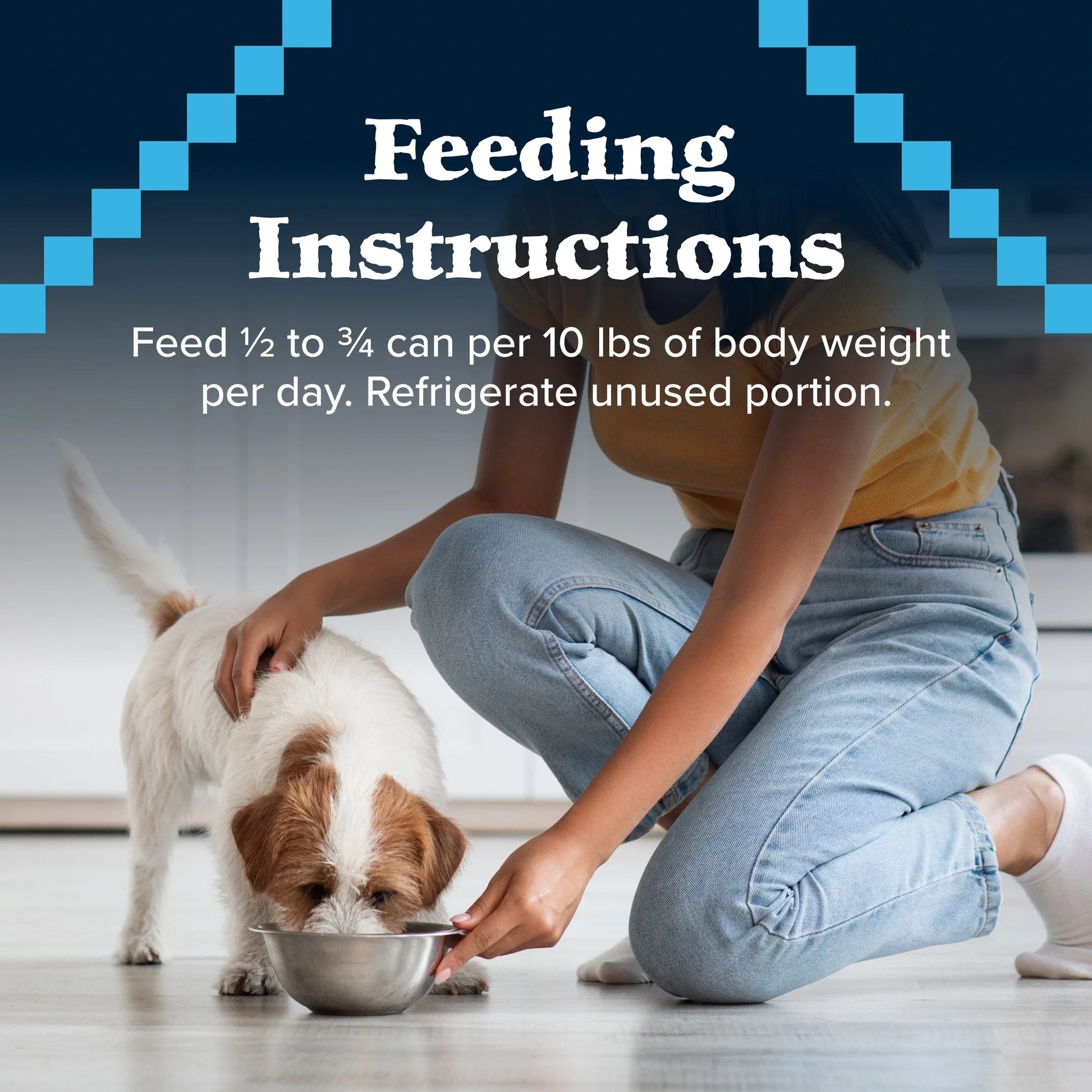 Wilderness Adult Wet Dog Food with Salmon and Chicken Grill, 12.5 oz Can