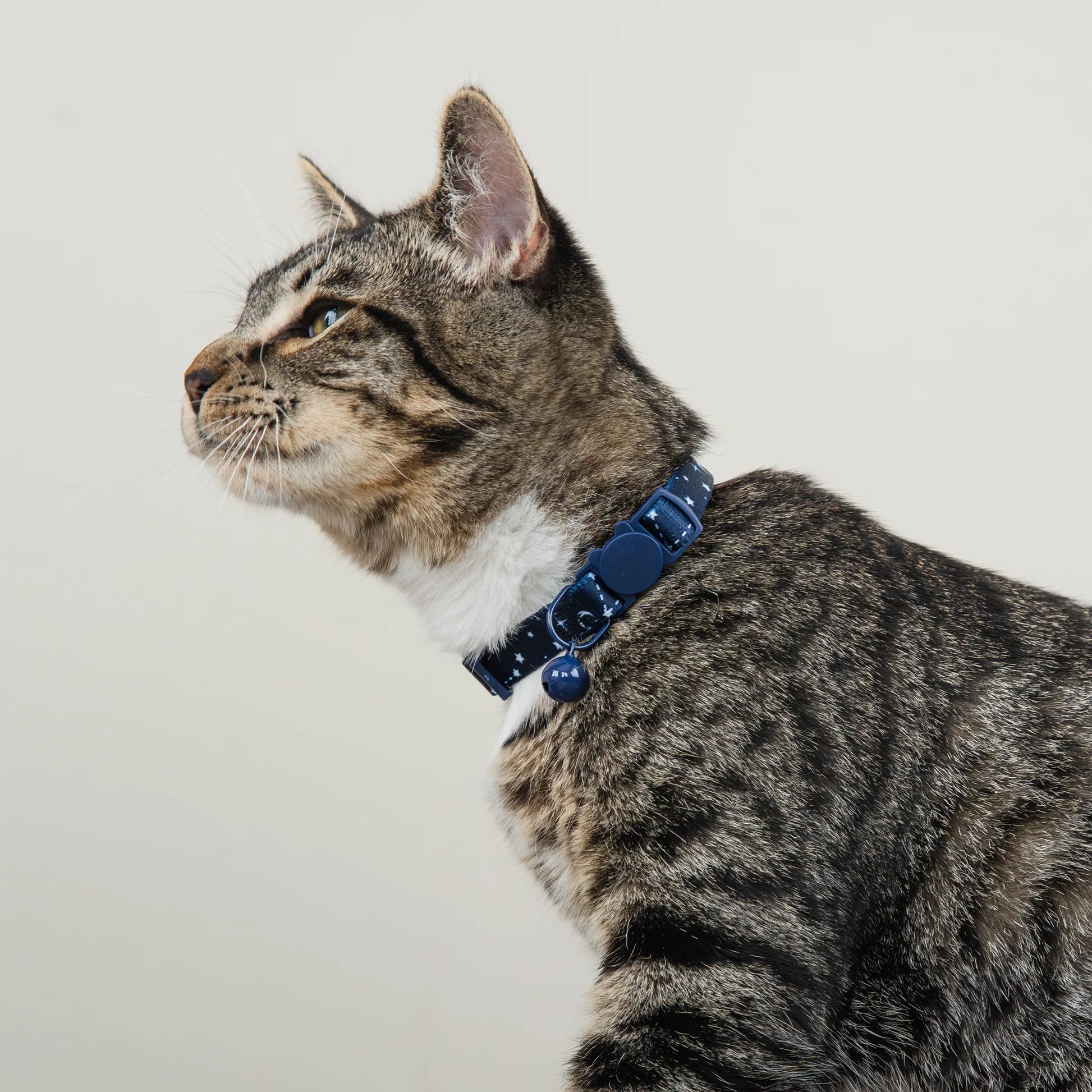 Celestial Print Breakaway Cat Collar in Blue, One Size Fits Most
