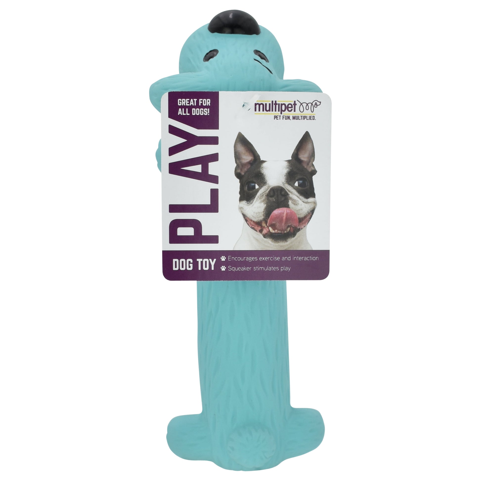 Loofa Latex Plush Dog Toy with Smiling Design