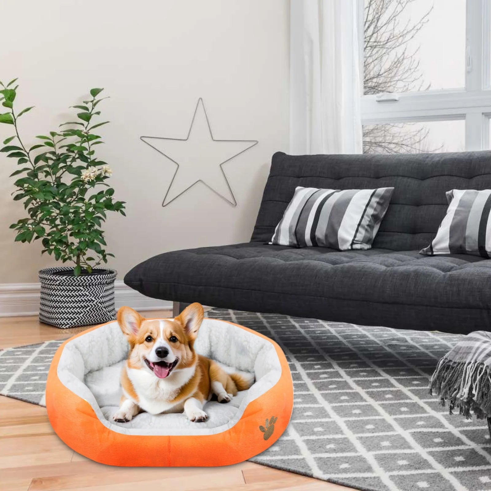 Dog Beds for Small Dogs Puppy Bed Pet Cats Bed with Removable Cushion for Indoor Cats Dogs, Orange