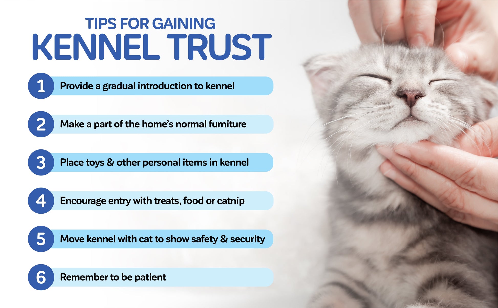 Top Load Pet Carrier for Cats, 19" Length, Suitable for Pets up to 10 lbs, Green