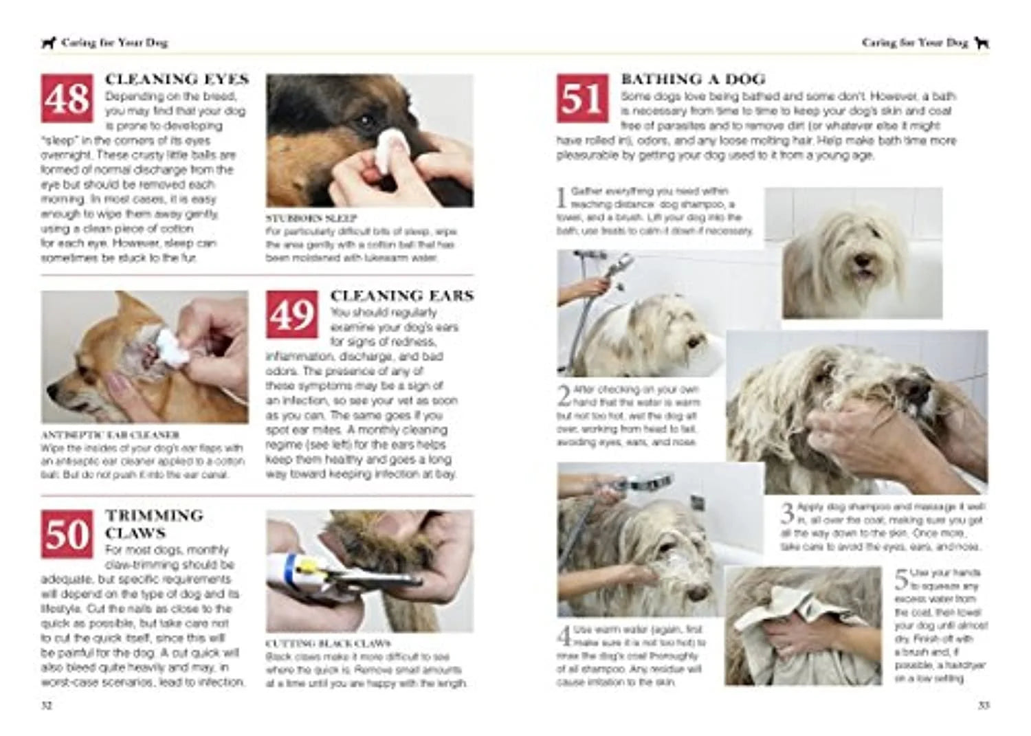 101 Essential Tips for Dog Care (Paperback)