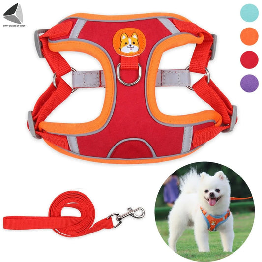 No Pull Dog Harness Leash Set Reflective Adjustable Easy Control Pet Chest Vest for Small Medium Dogs (M, Red)