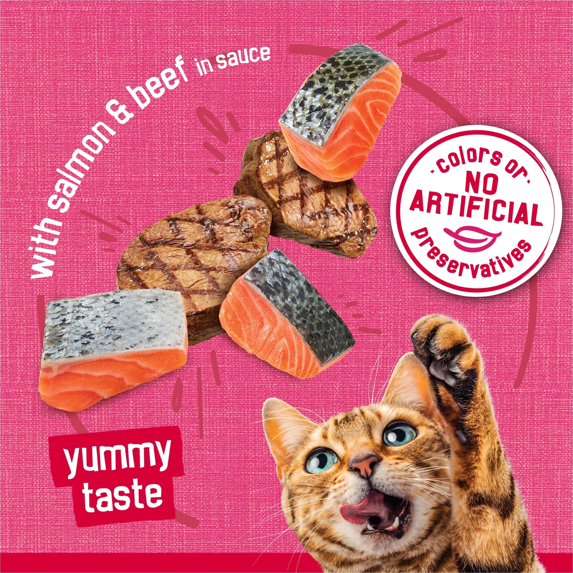 Purina  Prime Filets Salmon and Beef in Sauce Wet Cat Food, 5.5 oz Can