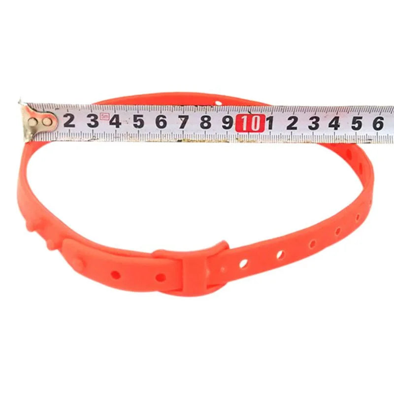 Pet Collar for Lice Removal in Cats and Dogs