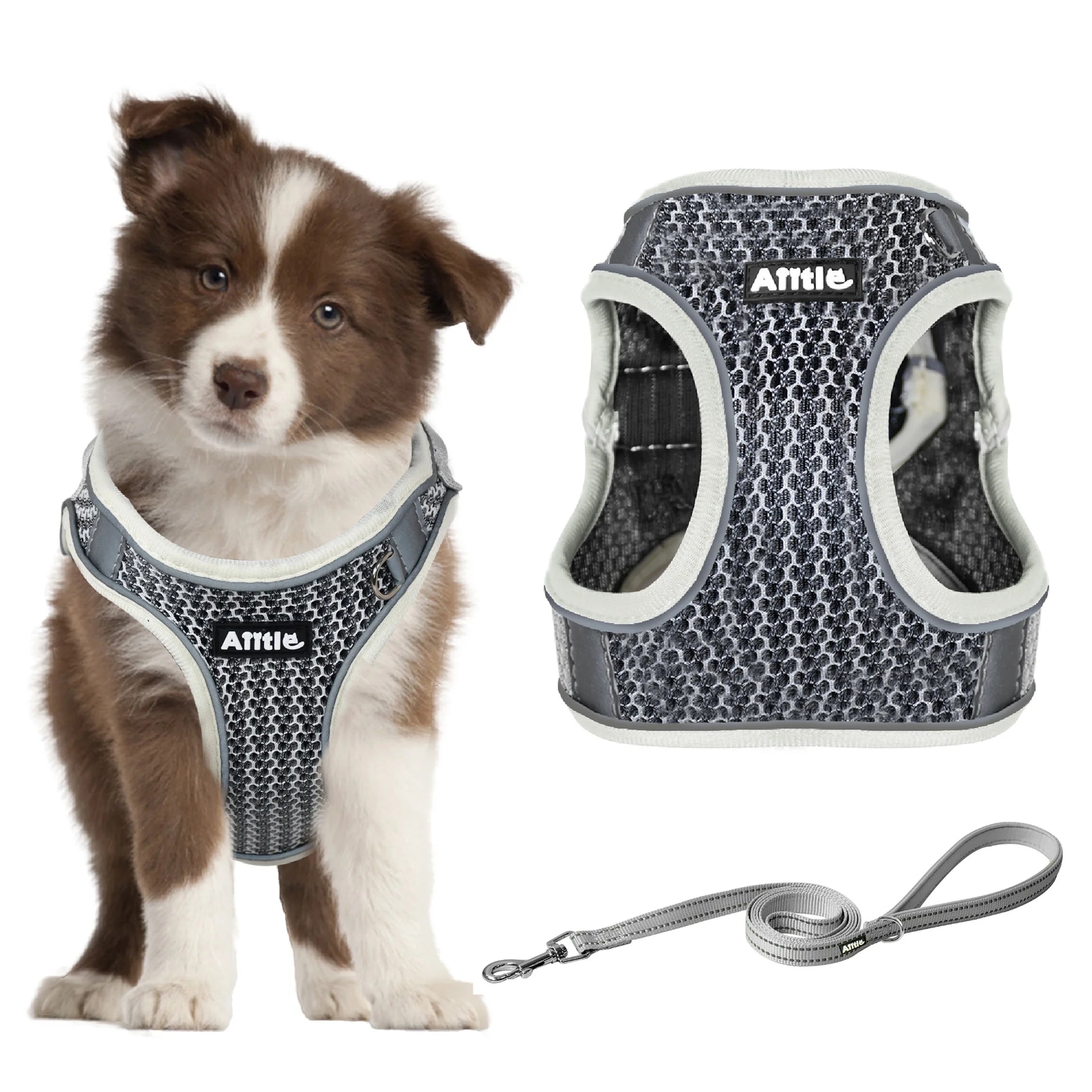 No-Pull Harness for Small Dogs - Step-In Puppy Harness with Breathable Mesh, Adjustable Reflective Design for Outdoor Walking and Training, Beige XS