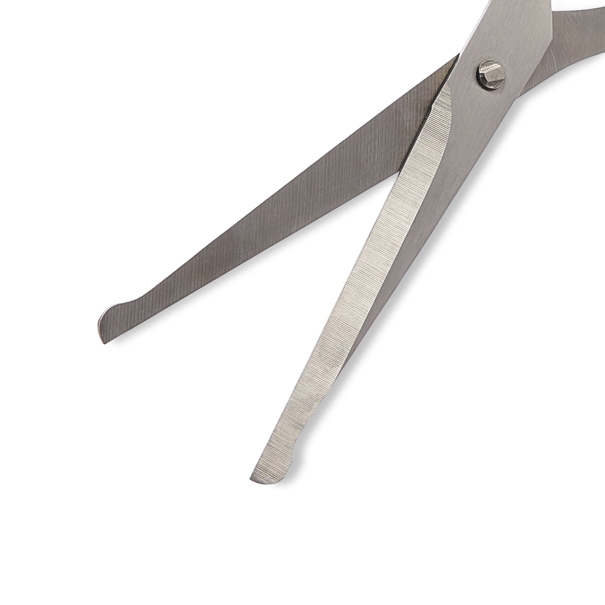 6.7In Round-Tip Dog Grooming Scissors for All Coats