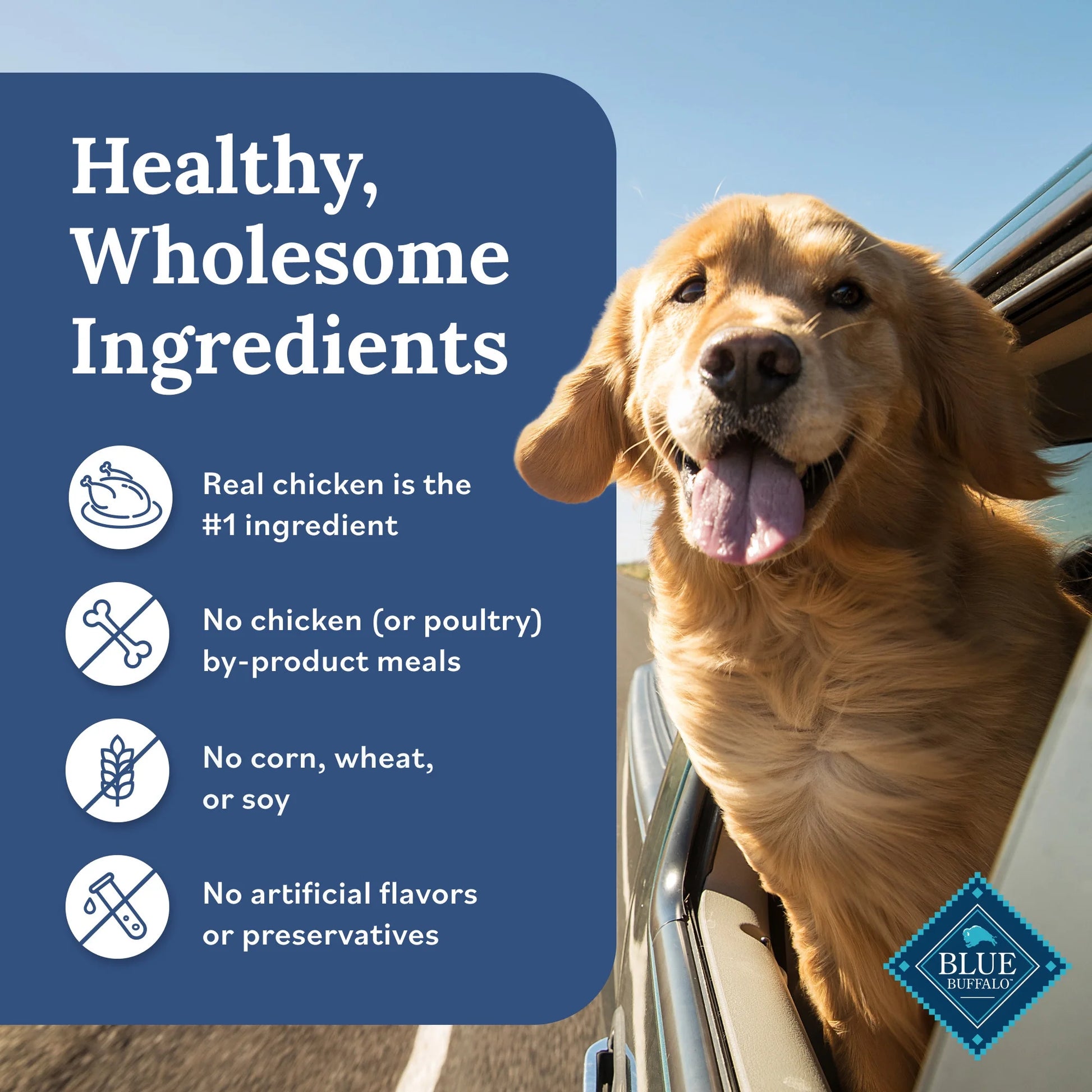 Tender Shreds Chicken Toppers for Dogs, 2.5 oz Pouch