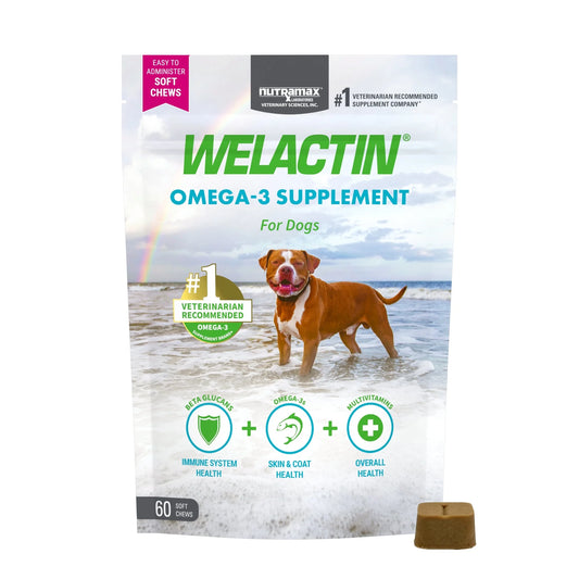 Nutramax Welactin Daily Omega-3 Supplement for Dogs, Skin & Coat Health plus Overall Health, 60 Soft Chews