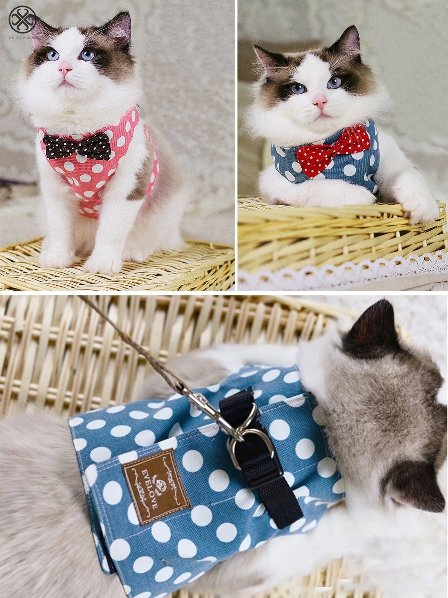 Adjustable Cat Harness and Leash Set - Escape Proof Soft Vest for Small to Medium Cats with 49-Inch Leash