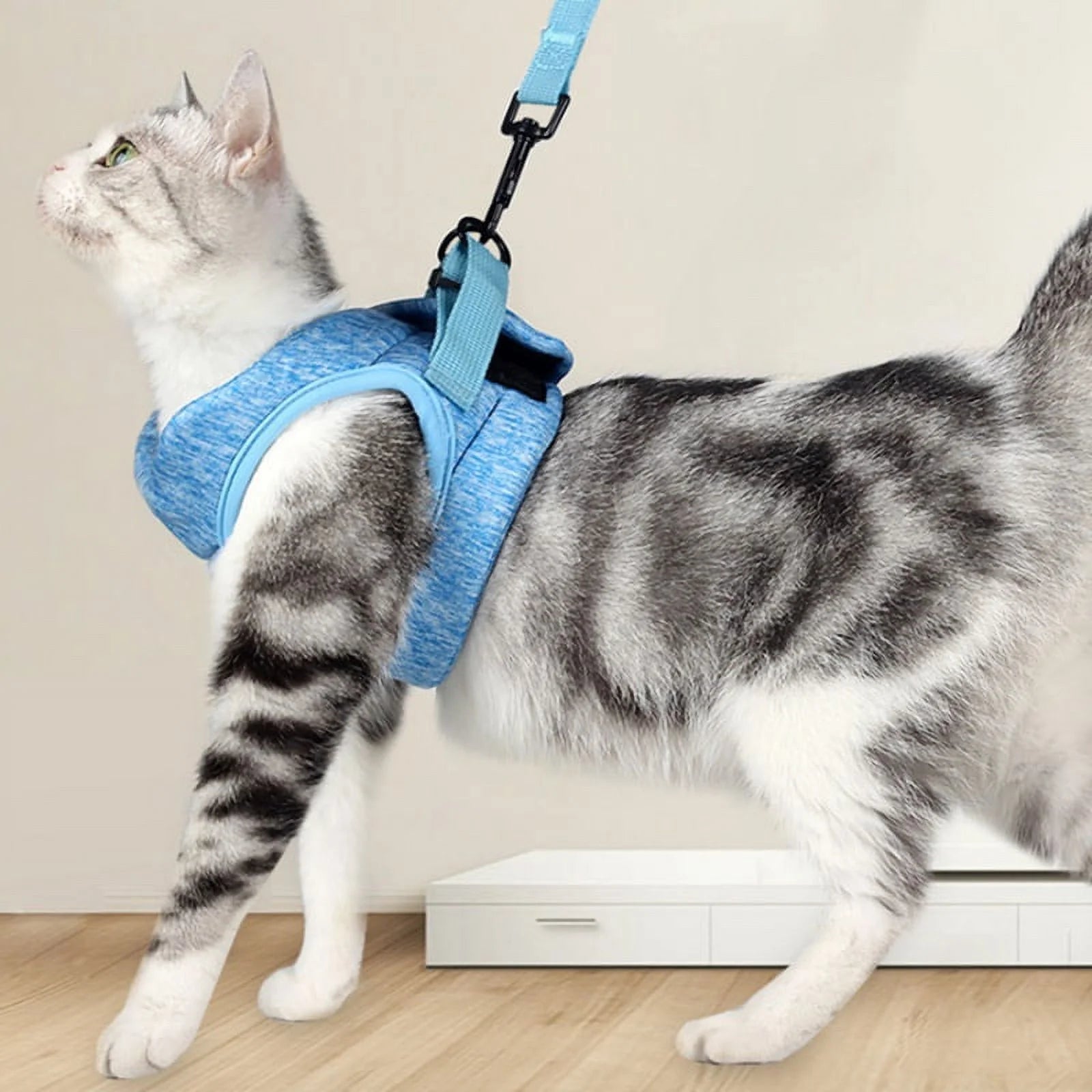 Cat Harness and Leash Set for Walking - Escape-Proof Soft Adjustable Vest, Breathable Jacket in Blue, Size Large (10-15.5 lbs)