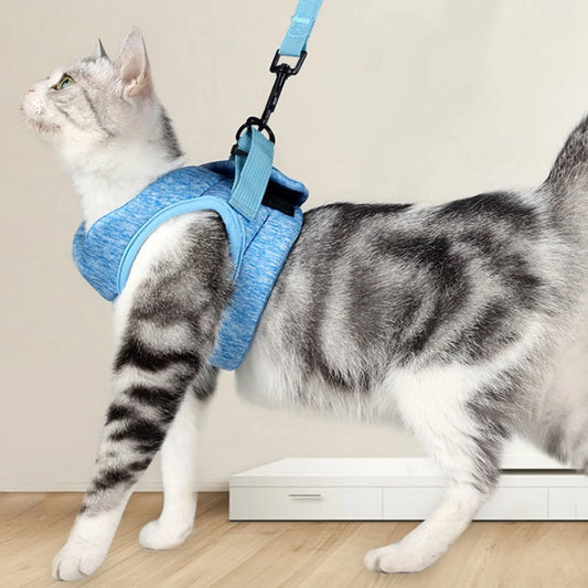 Cat Harness and Leash Set for Walking - Escape-Proof Soft Adjustable Vest, Breathable Jacket in Blue, Size Large (10-15.5 lbs)