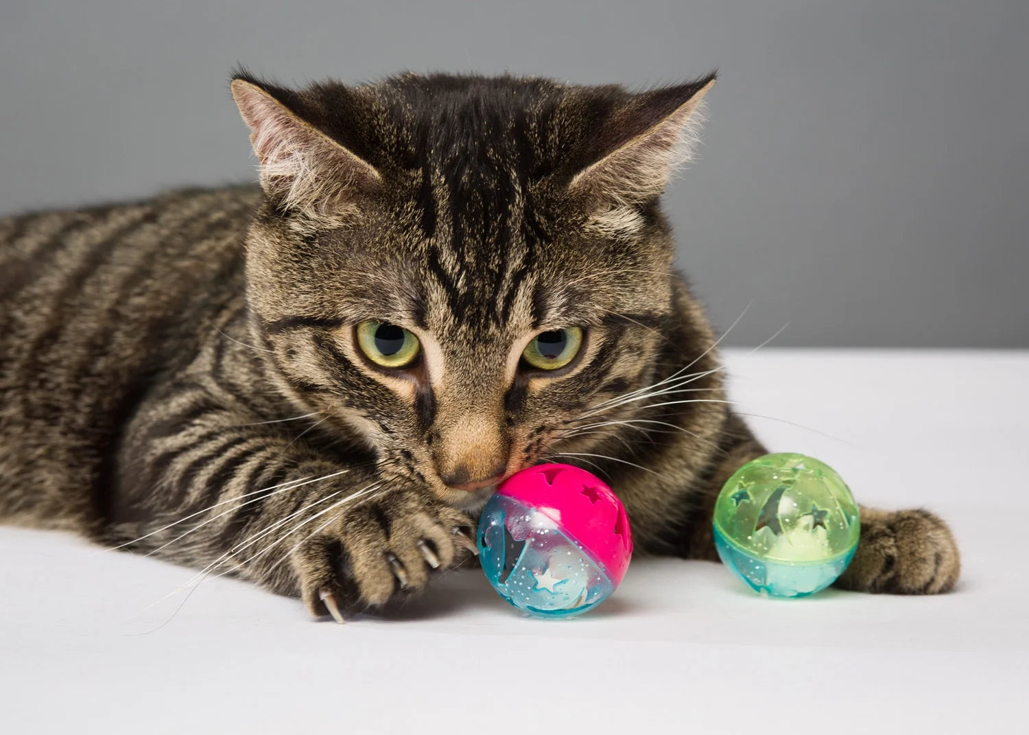 Bizzy Balls Cat Toy - Single Unit