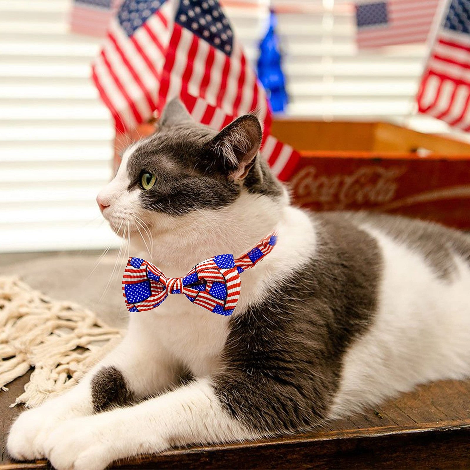 4Th of July Cat Bow Tie Collar with Bell, Independence