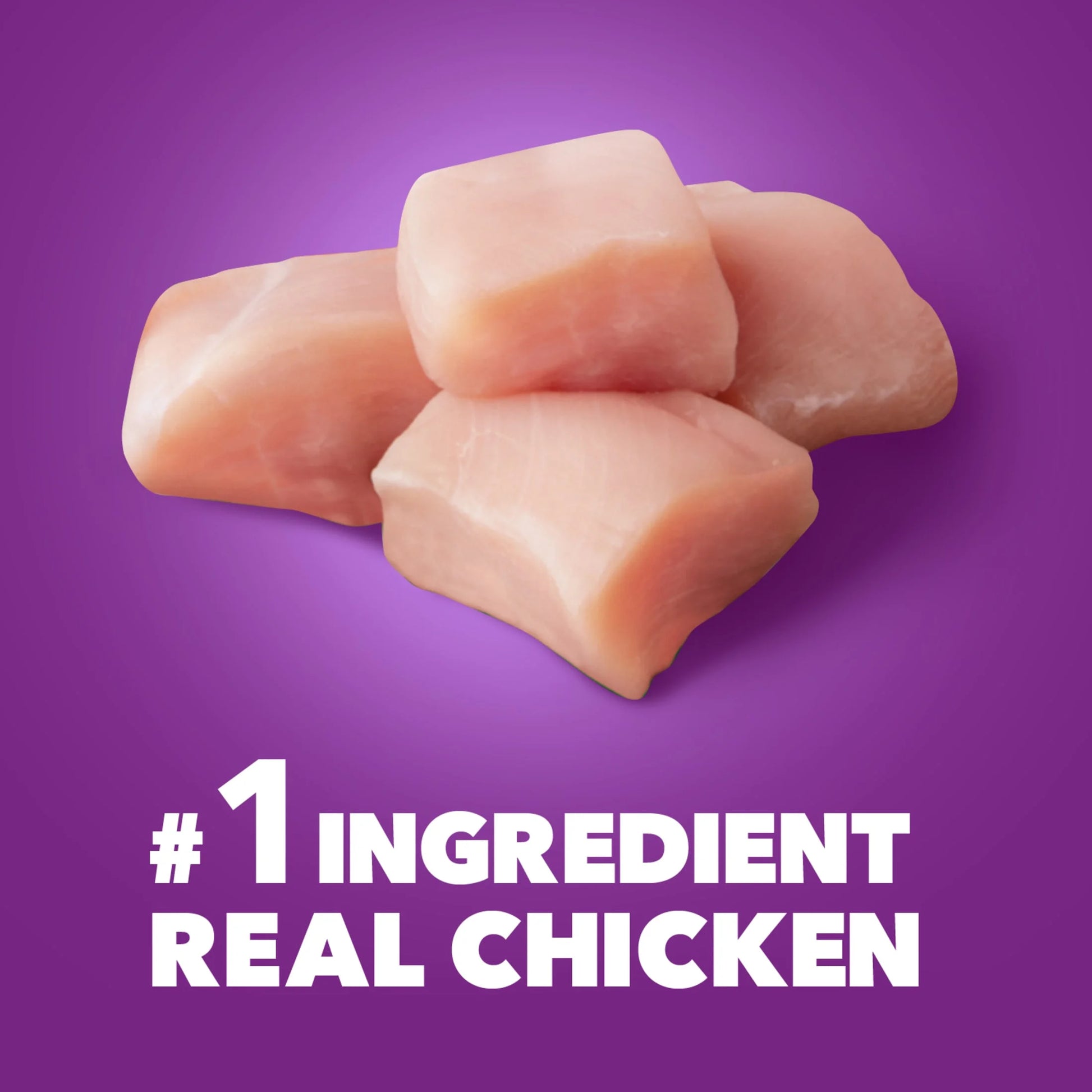 Advanced Health Mobility Support Chicken and Whole Grain Recipe Adult Dry Dog Food, 13.5 lb Bag