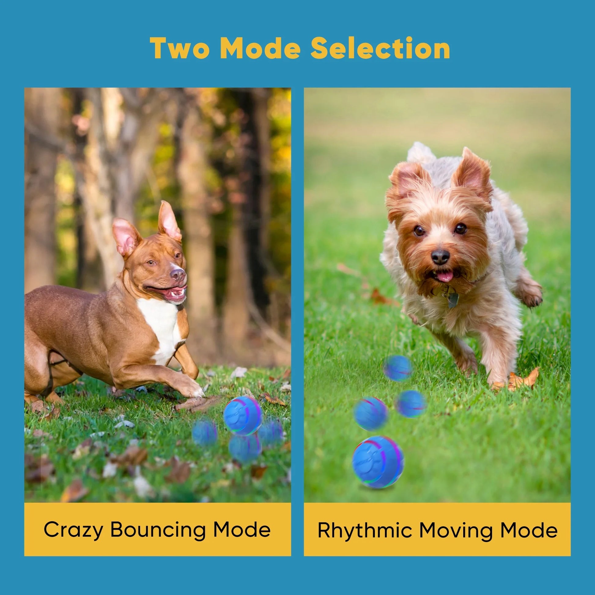 Interactive LED Dog Ball - Rechargeable Moving Toy for Medium to Large Dogs, Blue