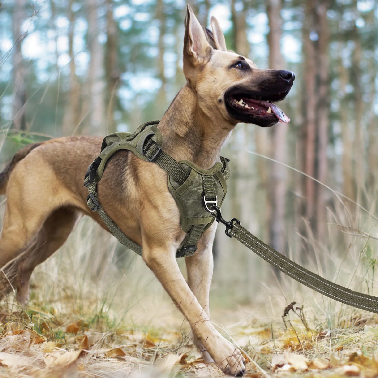 Adjustable No-Pull Dog Harness for Medium Dogs - Reflective Vest with Handle and Metal Buckle for Easy Control (Green, Medium)