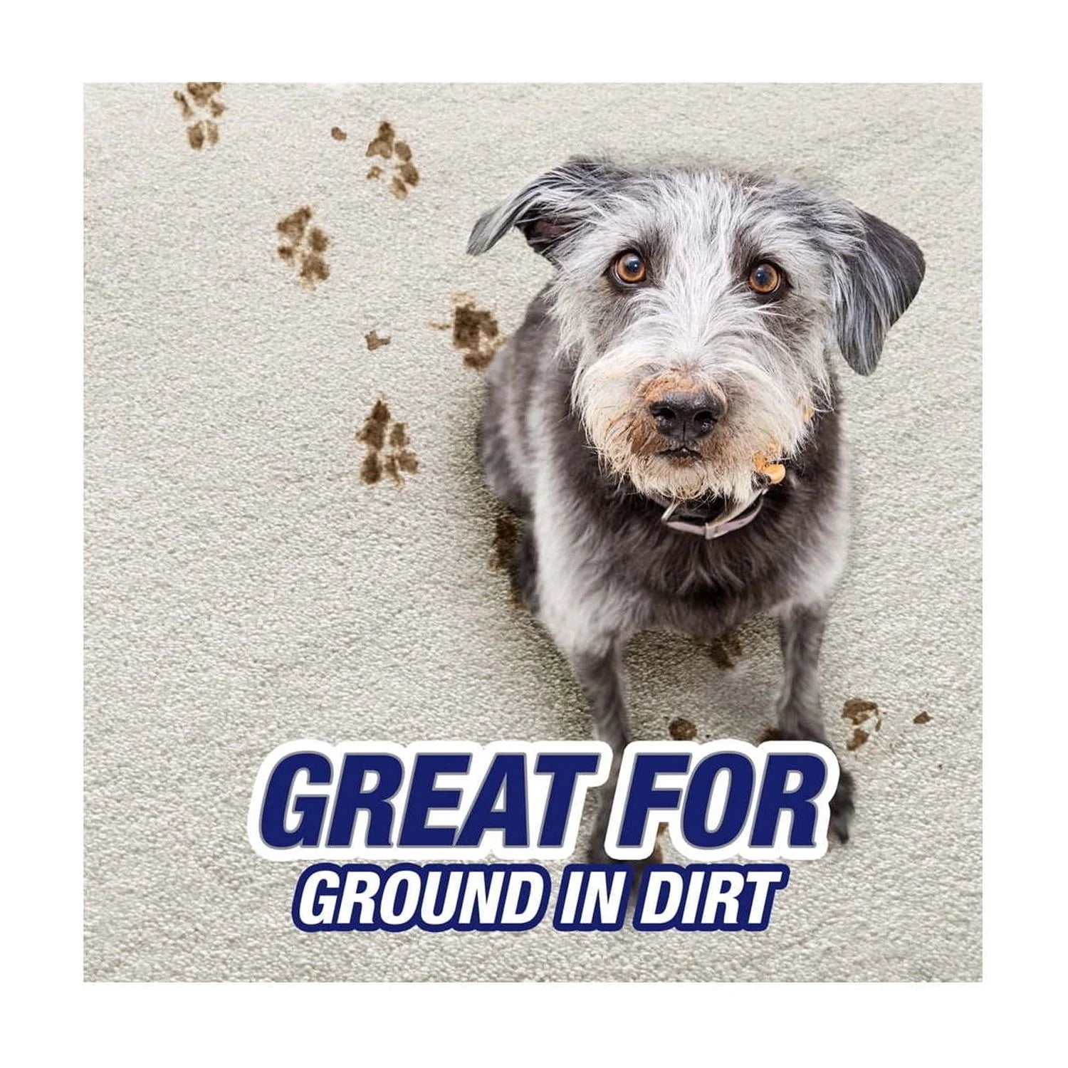 High Traffic Carpet Stain Cleaner and Odor Eliminator Foam, 22 Oz