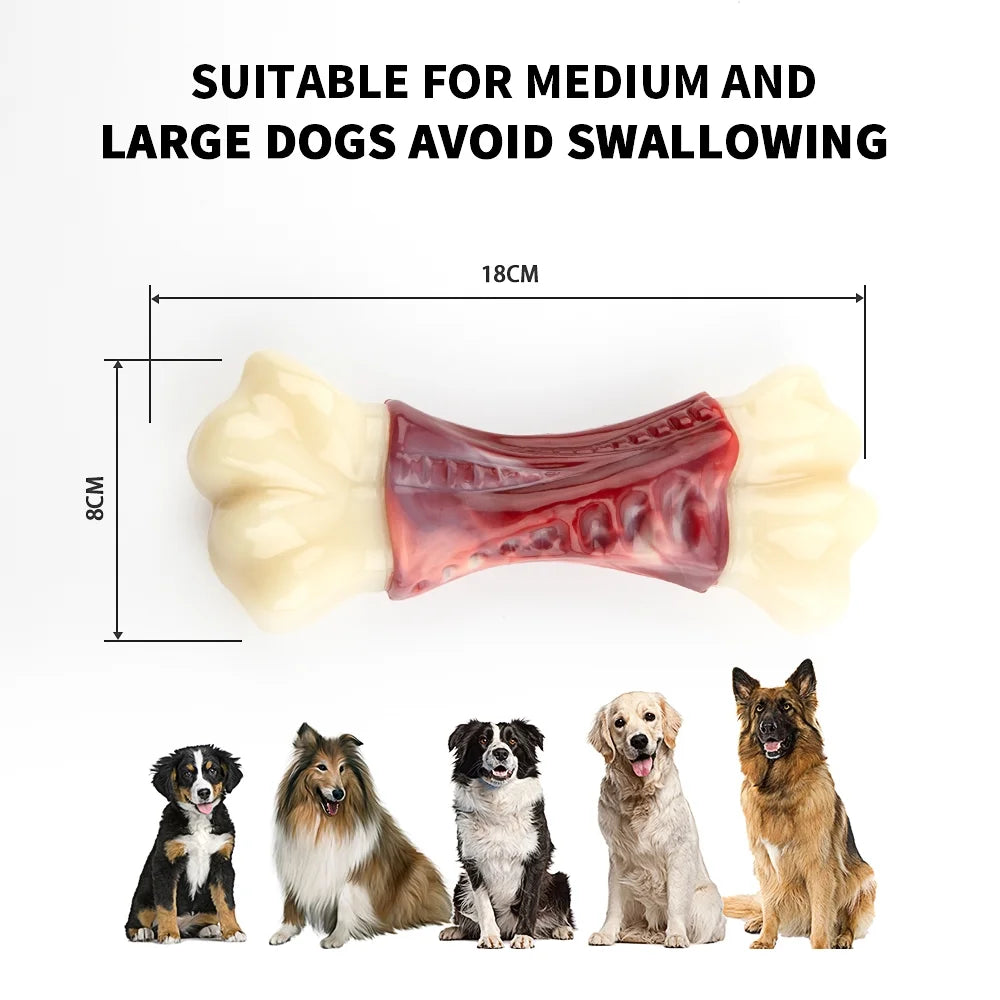 Durable Dog Toys for Aggressive Chewers - Large Breed Chew Bones and Toothbrush Toys for Medium to Large Dogs