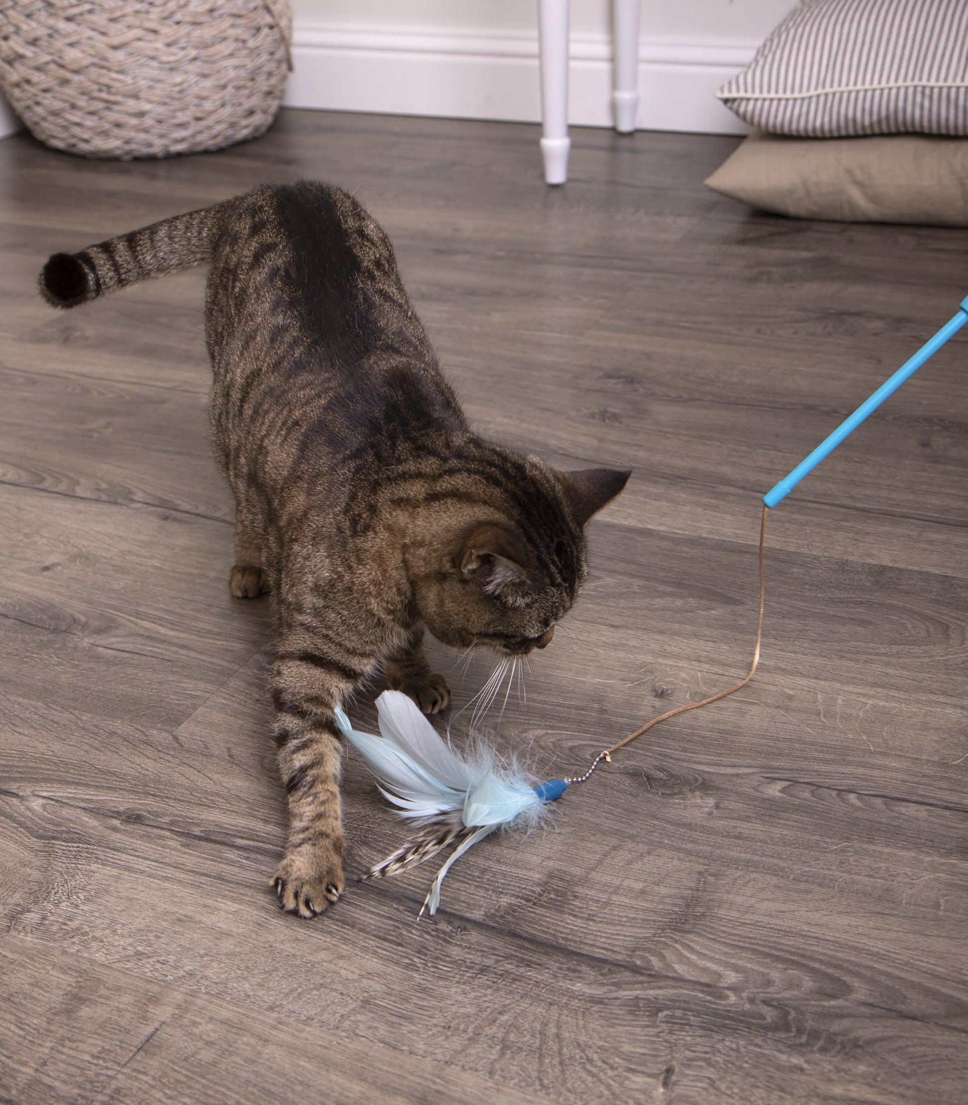 Frisky Flyer Interactive Cat Toy - Extendable and Retractable Wand with Feathers