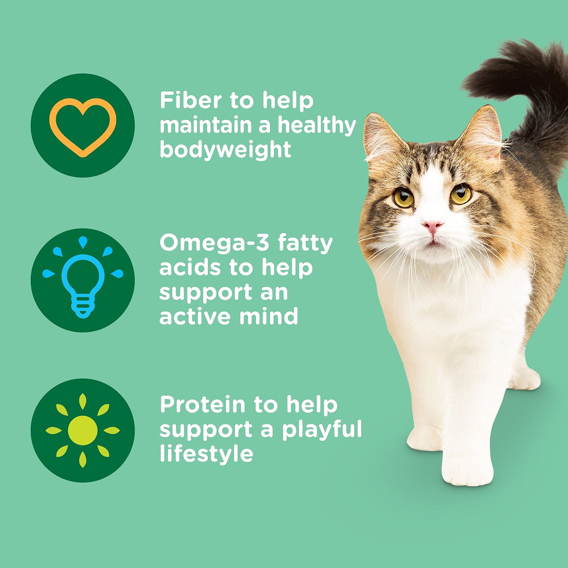 Nutrish Indoor Complete Premium Natural Dry Cat Food with Chicken, Lentils & Salmon, 6 Pounds (Packaging May Vary)