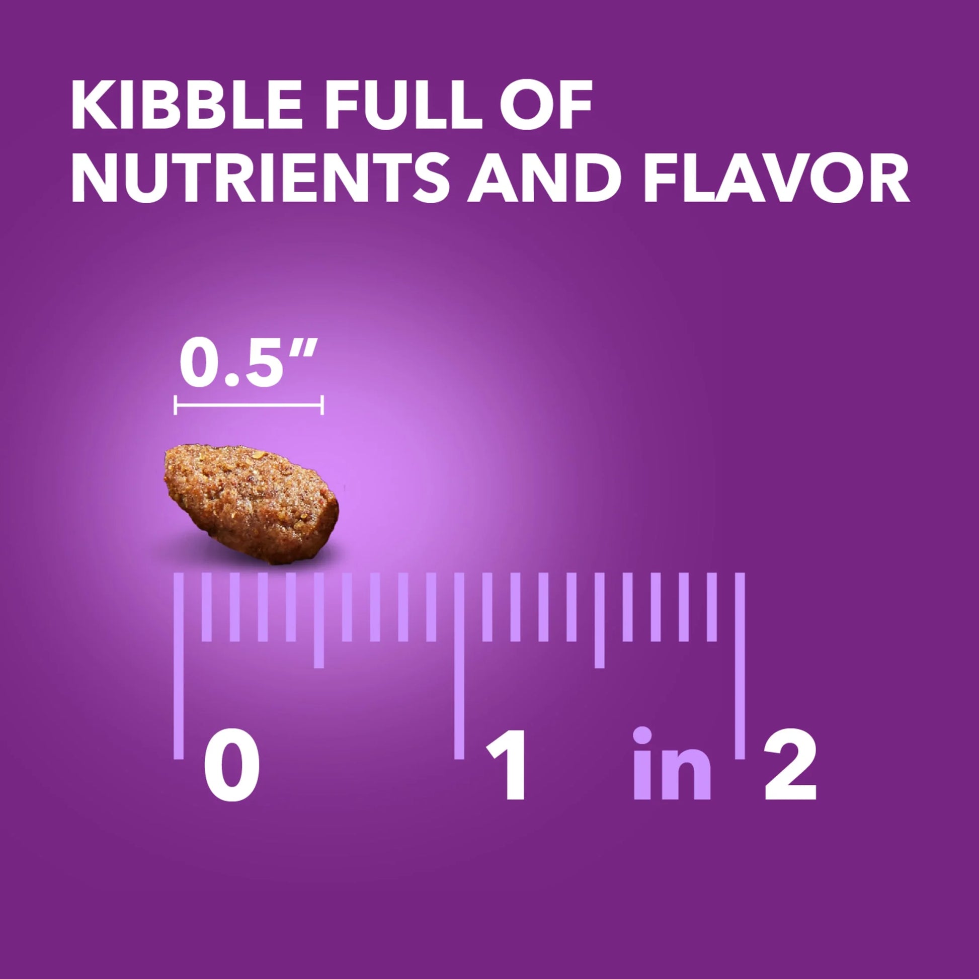 Advanced Health Mobility Support Chicken and Whole Grain Recipe Adult Dry Dog Food, 13.5 lb Bag