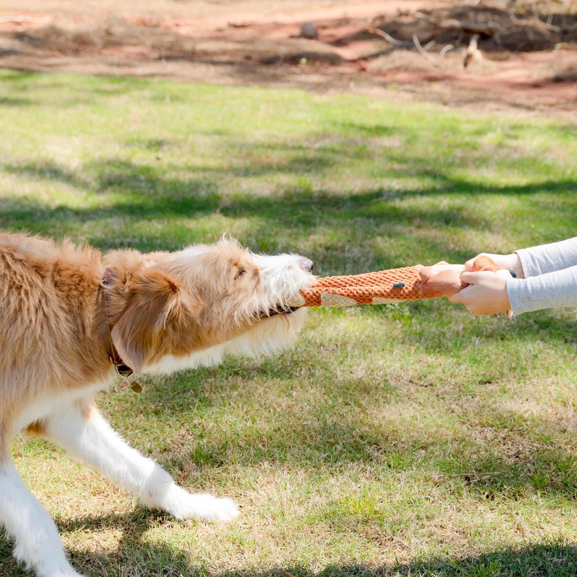Deluxe Plush Crinkle Dog Toy with Tug-of-War Feature and Squeaker - Durable Enrichment Toy with Snack Pockets for Small, Medium, and Large Dogs