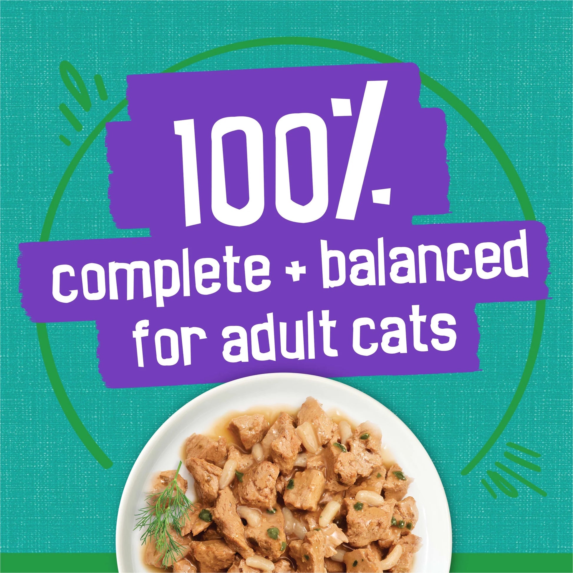 Purina  Indoor Saucy Seafood Bake Wet Cat Food, 5.5 oz Can