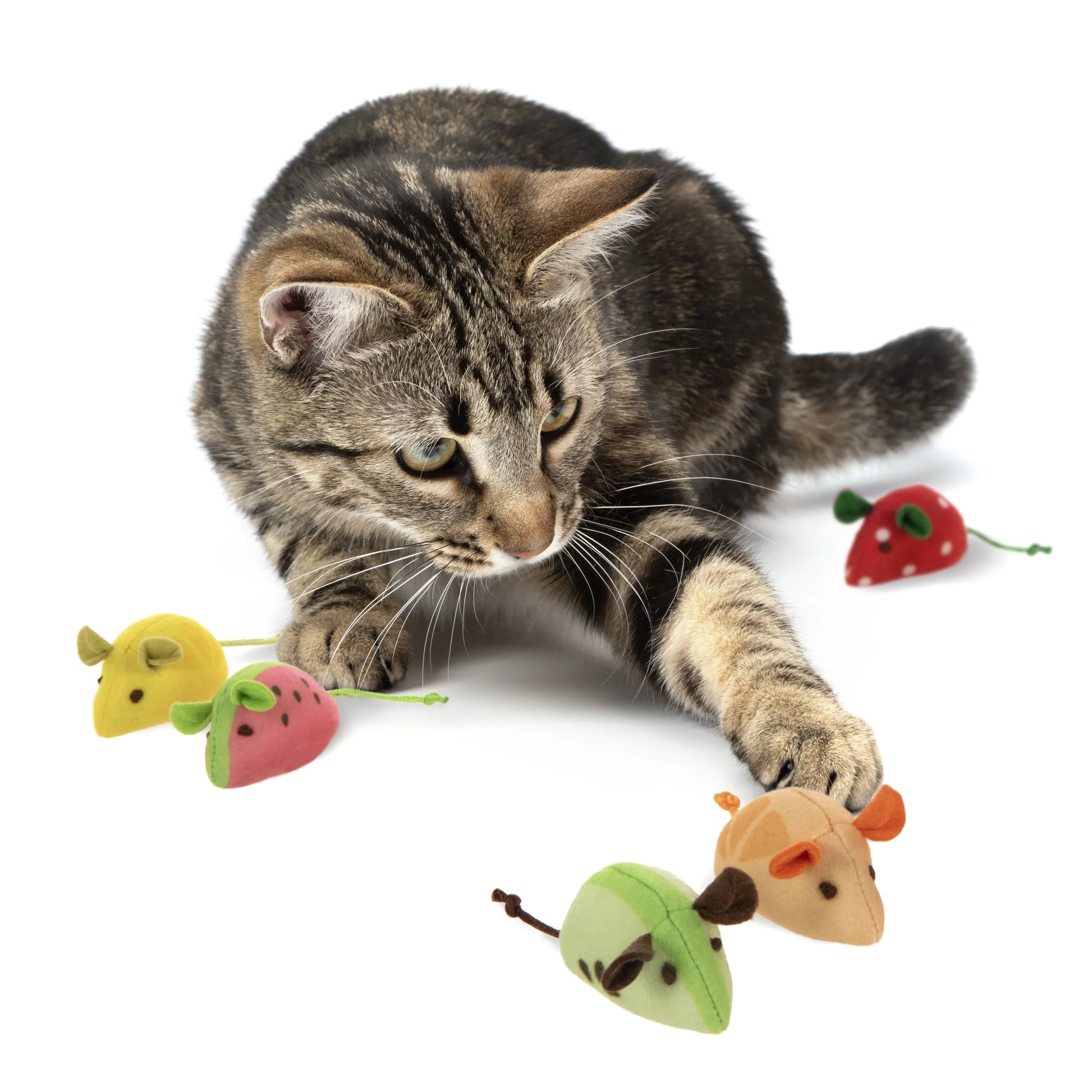 Skitter Slices Plush Cat Toy with Pure Catnip, Single Count