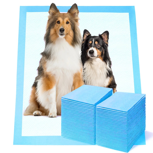 Dog Training Pads 100-Count Disposable Pet Pad 28X34 Inch XL