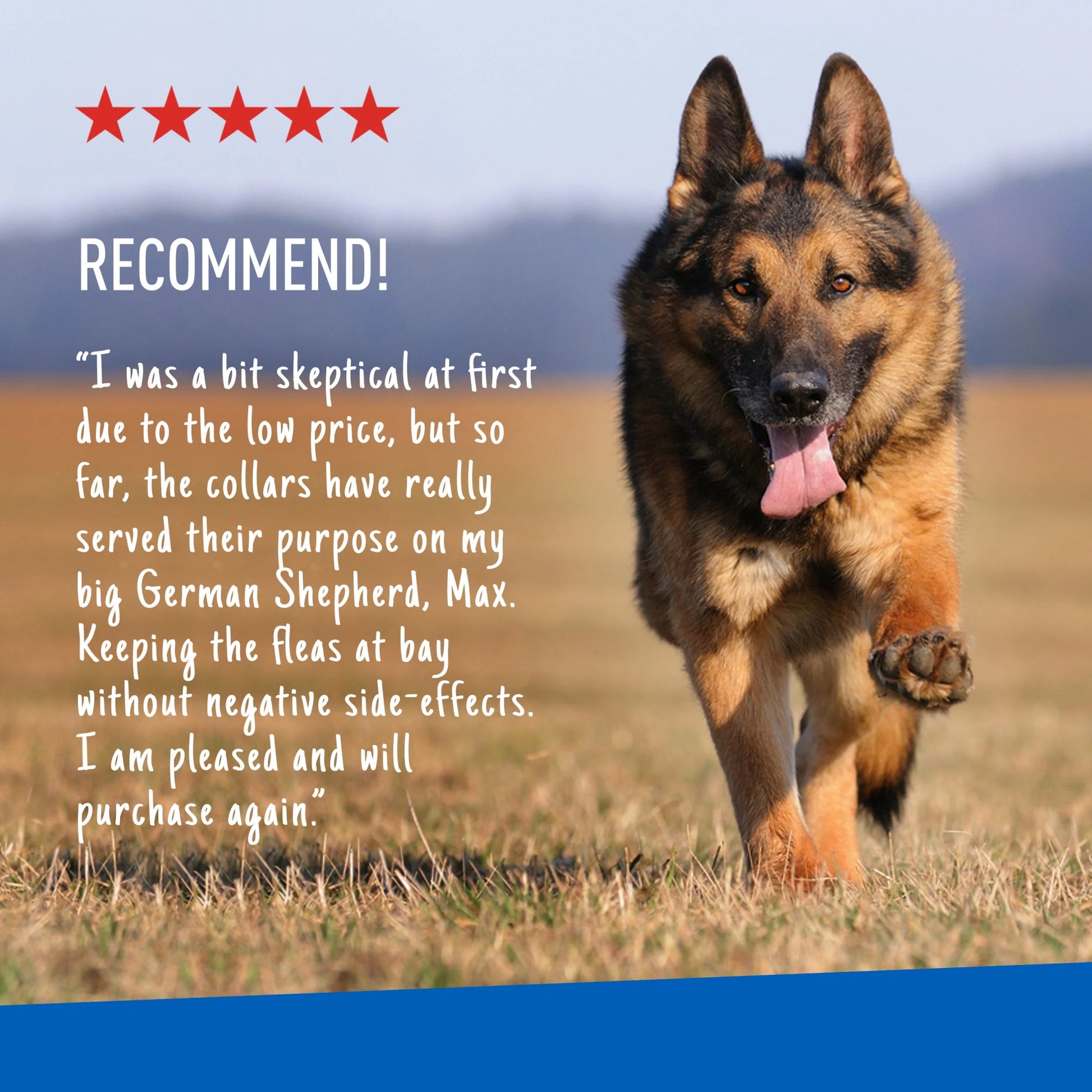 Flea and Tick Control Collar for Dogs and Puppies - Single Pack