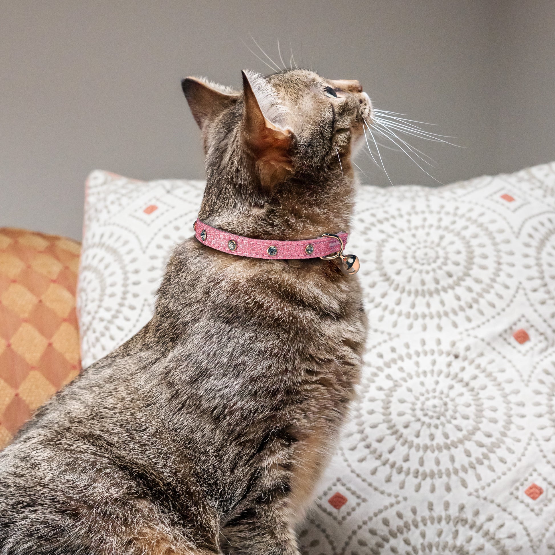 Rhinestone-Embellished Breakaway Cat Collar in Pink, One Size