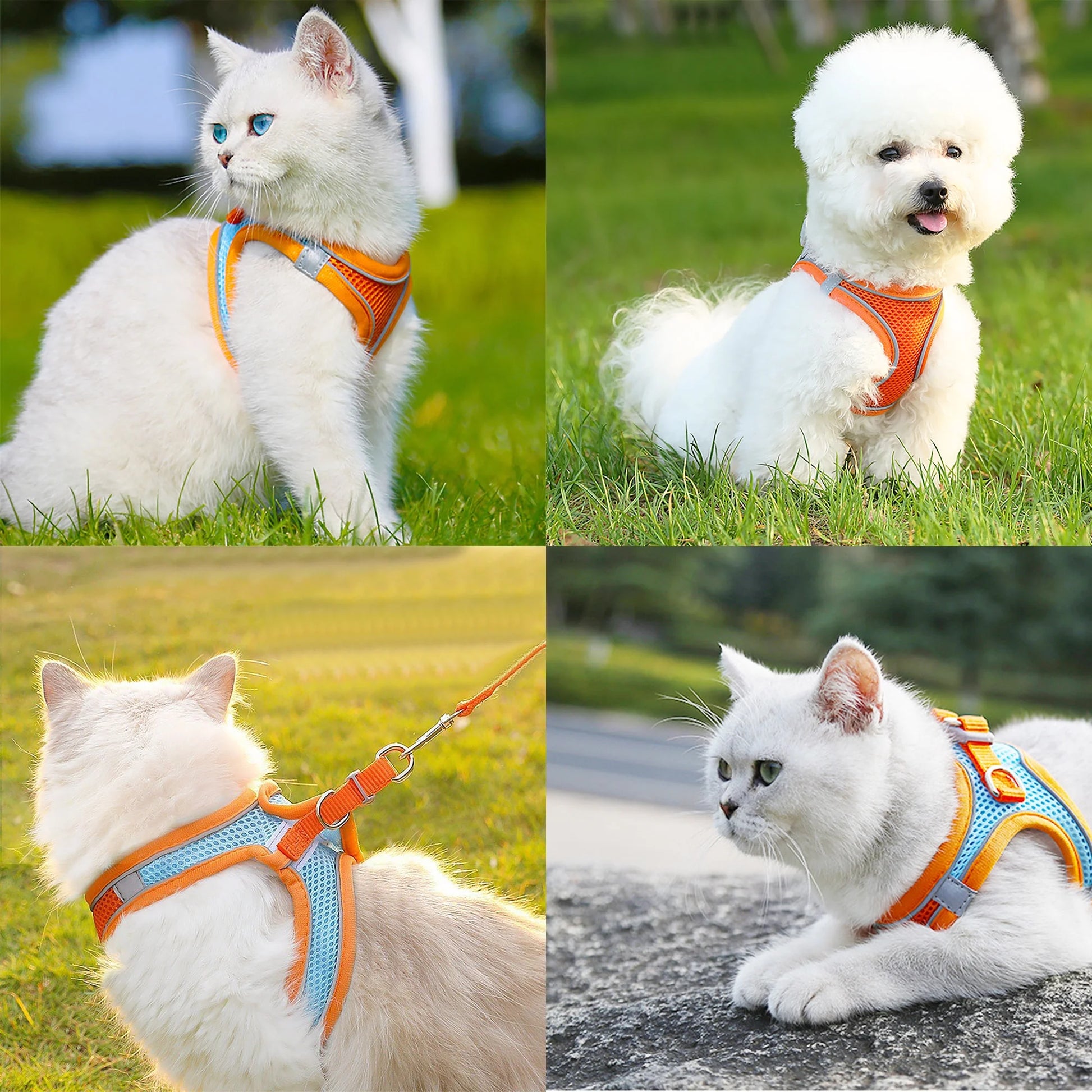 Reflective No-Pull Dog Harness and Leash for Small Dogs and Cats, Size M