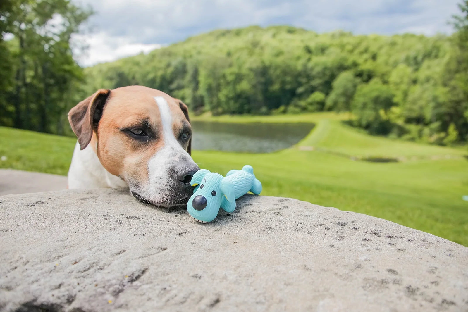 Loofa Latex Plush Dog Toy with Smiling Design