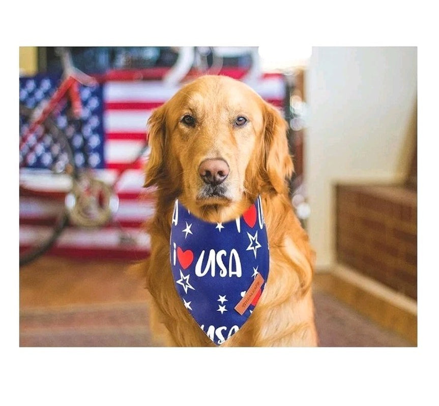 4Th of July Bandanas 2 Pack, Triangle Reversible Pet Large American Flag