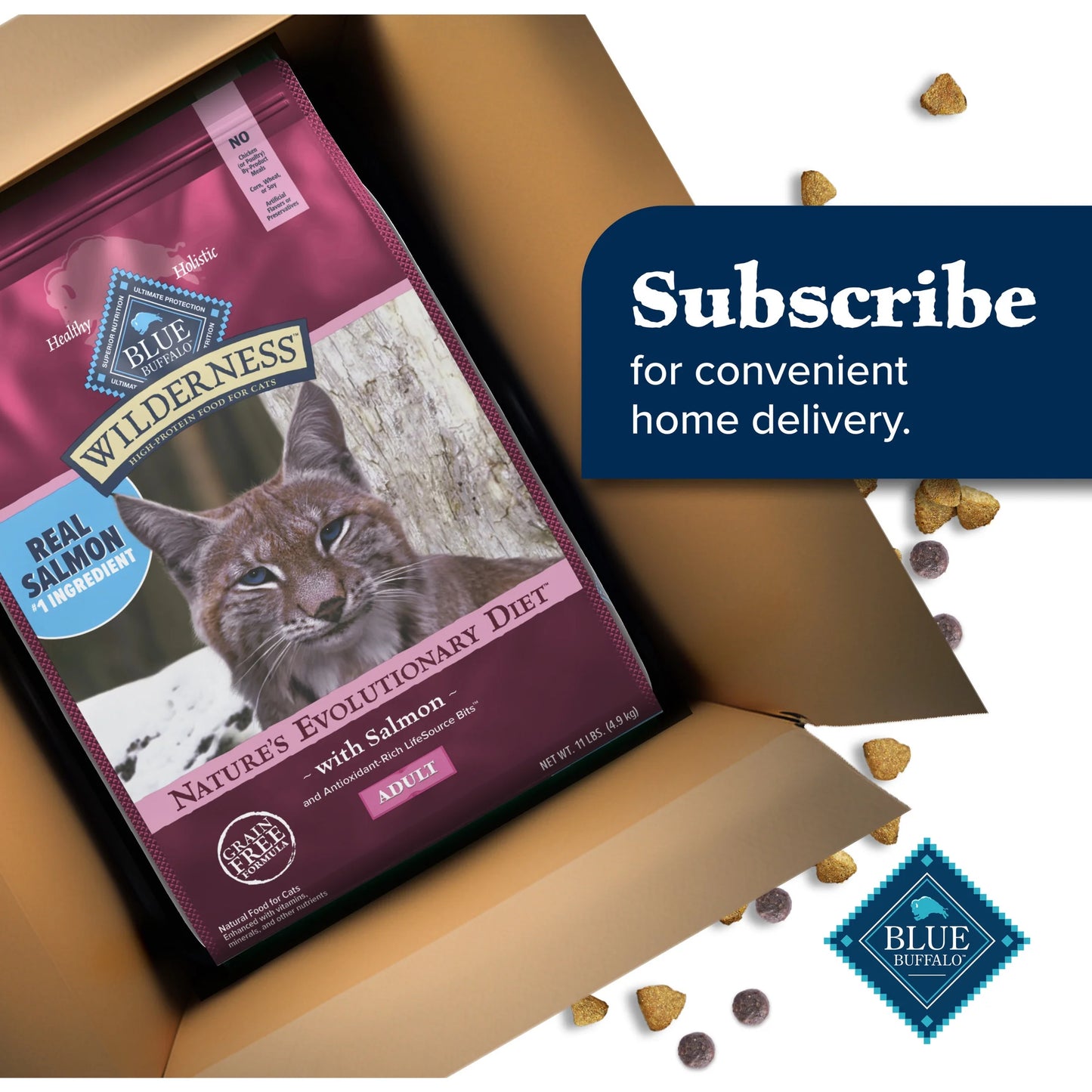 Wilderness Natural High Protein Dry Food for Adult Cats, Salmon, 11-Lb Bag