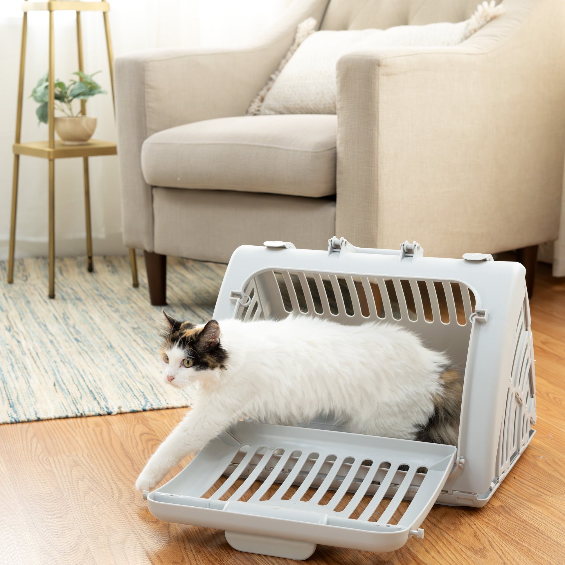 Portable Foldable Cat Carrier - Gray, One Size