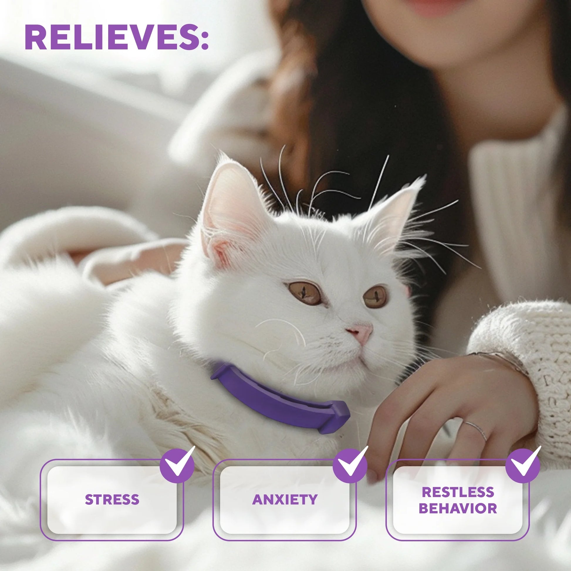 Cat Calming Collar and Anti-Anxiety Solutions - Feline Pheromone Collars for Stress Relief, Behavioral Issues, and Aggression Management